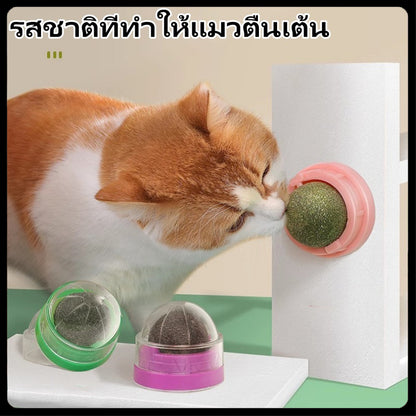 กัญชาแมว แคทนิปบอล ติดกำแพง ไม่กลิ้งหาย catnip ball