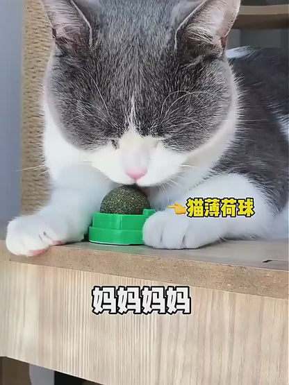 กัญชาแมว แคทนิปบอล ติดกำแพง ไม่กลิ้งหาย catnip ball