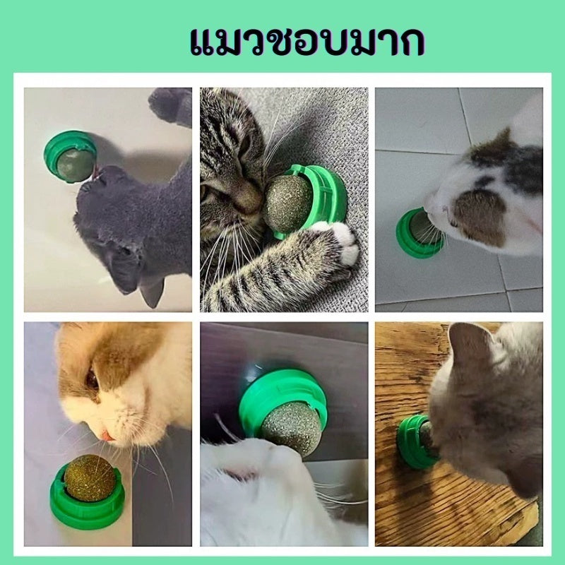 กัญชาแมว แคทนิปบอล ติดกำแพง ไม่กลิ้งหาย catnip ball