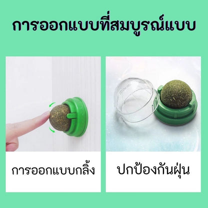 กัญชาแมว แคทนิปบอล ติดกำแพง ไม่กลิ้งหาย catnip ball