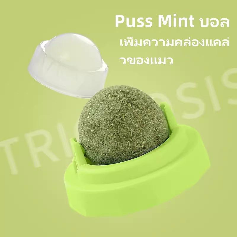 กัญชาแมว แคทนิปบอล ติดกำแพง ไม่กลิ้งหาย catnip ball