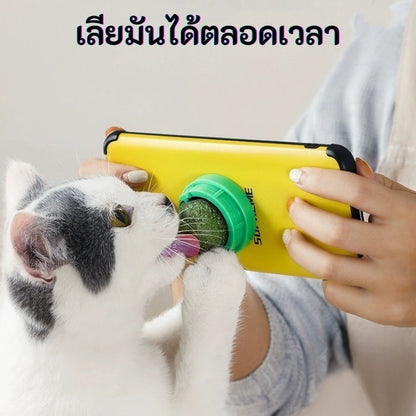 กัญชาแมว แคทนิปบอล ติดกำแพง ไม่กลิ้งหาย catnip ball