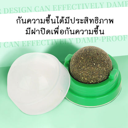 กัญชาแมว แคทนิปบอล ติดกำแพง ไม่กลิ้งหาย catnip ball