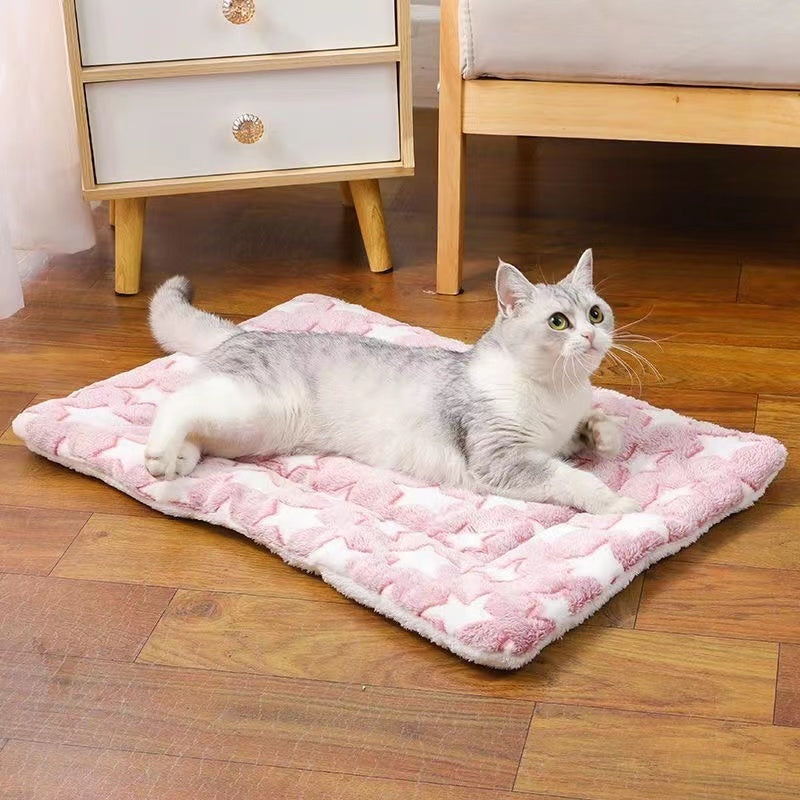 เบาะสัตว์เลี้ยง pet cushion ผ้าห่มสัตว์เลี้ยง เบาะนอนสำหรับสัตว์เลี้ยง เบาะนุ่มแมว สุนัข ผ้าห่มแมว เบาะนุ่มแมว สุนัข