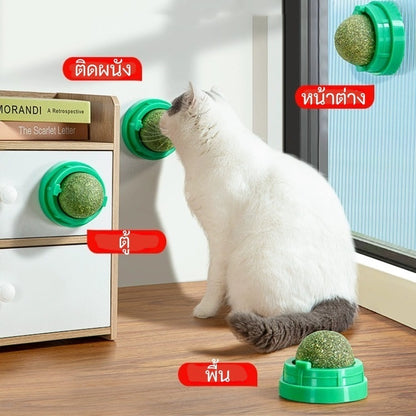 กัญชาแมว แคทนิปบอล ติดกำแพง ไม่กลิ้งหาย catnip ball