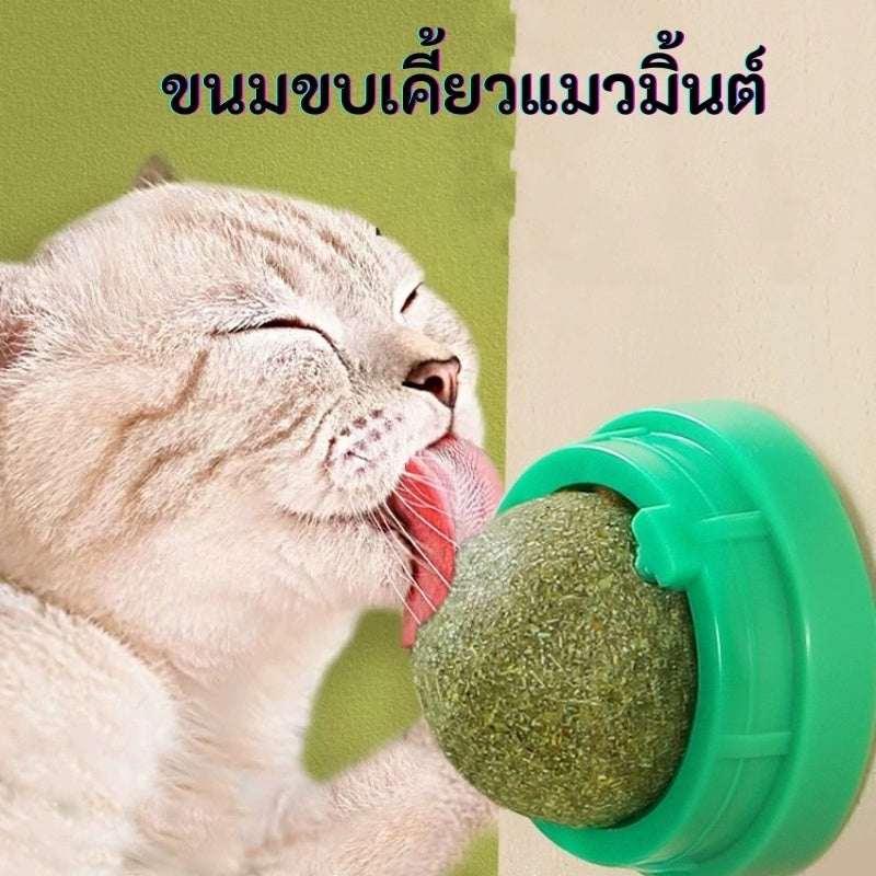 กัญชาแมว แคทนิปบอล ติดกำแพง ไม่กลิ้งหาย catnip ball